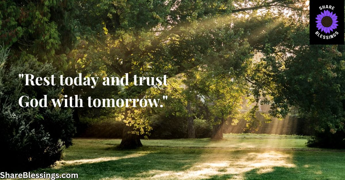 Sunlight streaming through trees onto a quiet green lawn, symbolizing rest and reflection