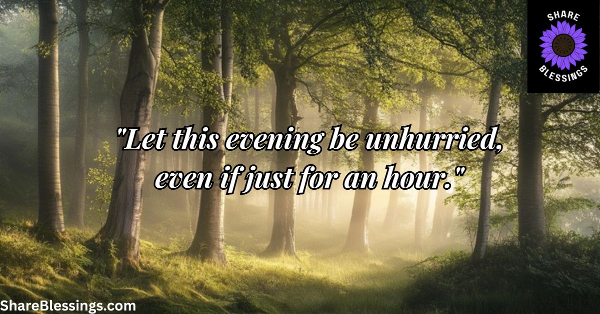 African American Friday Blessings for Stillness — misty forest path with sunlight through trees