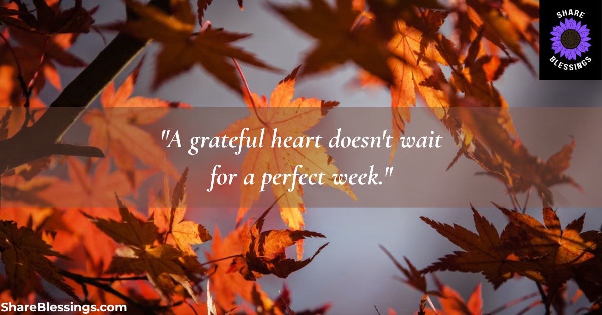 Thankful Thursday Blessings for a Grateful Heart — autumn leaves warm light