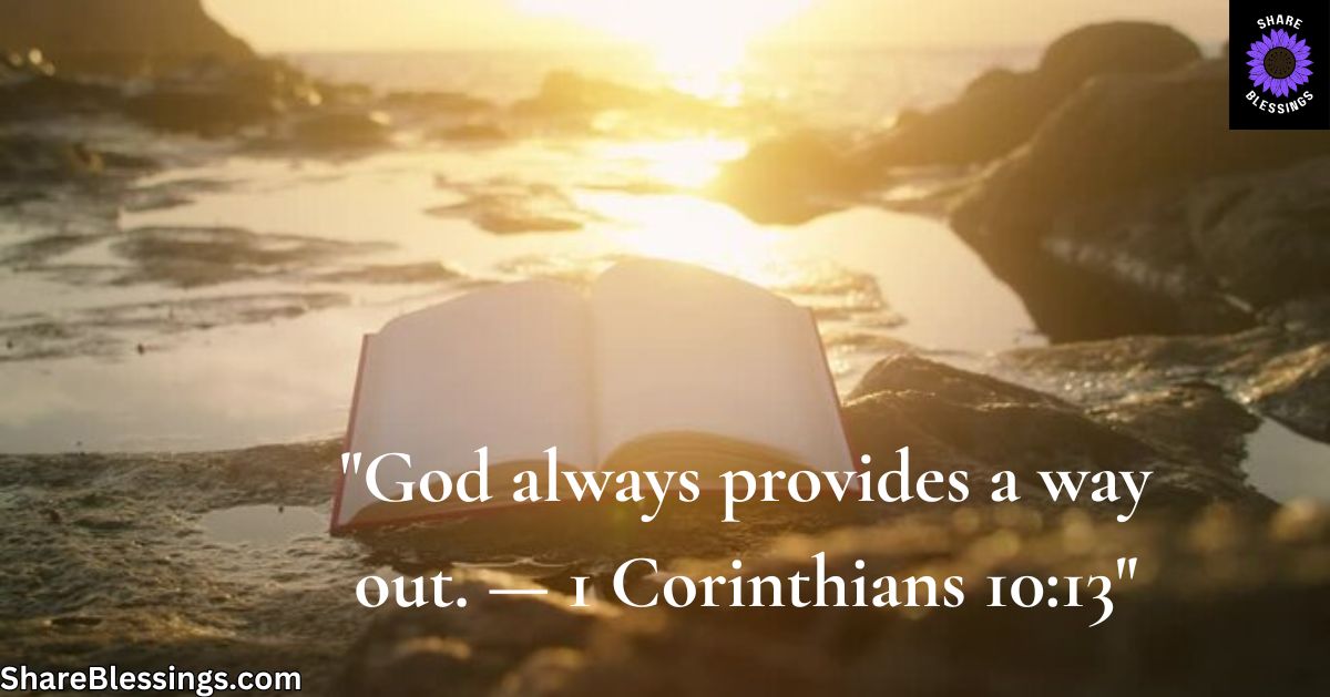 Open Bible on a rocky shore at sunrise with golden light