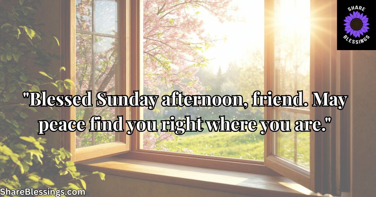 Short Sunday Afternoon Blessings You Can Send in Seconds — sunlit open window with cherry blossoms
