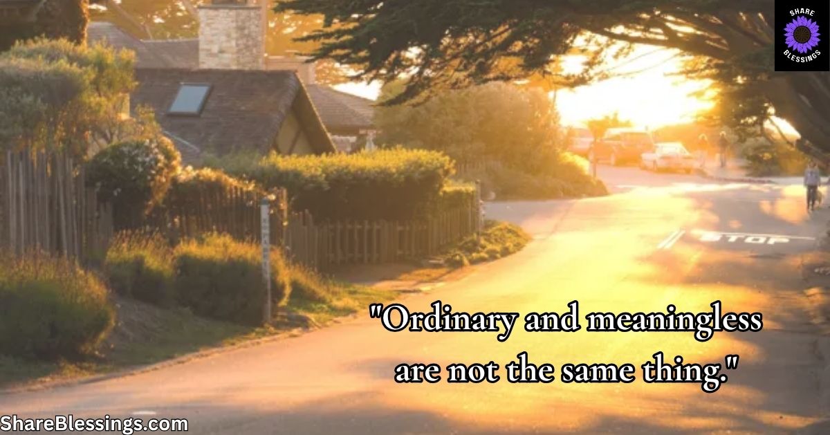 The Second Day Problem — quiet residential street in warm afternoon light