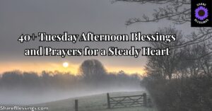 40+ Tuesday Afternoon Blessings and Prayers for a Steady Heart — foggy field with bare trees at dusk