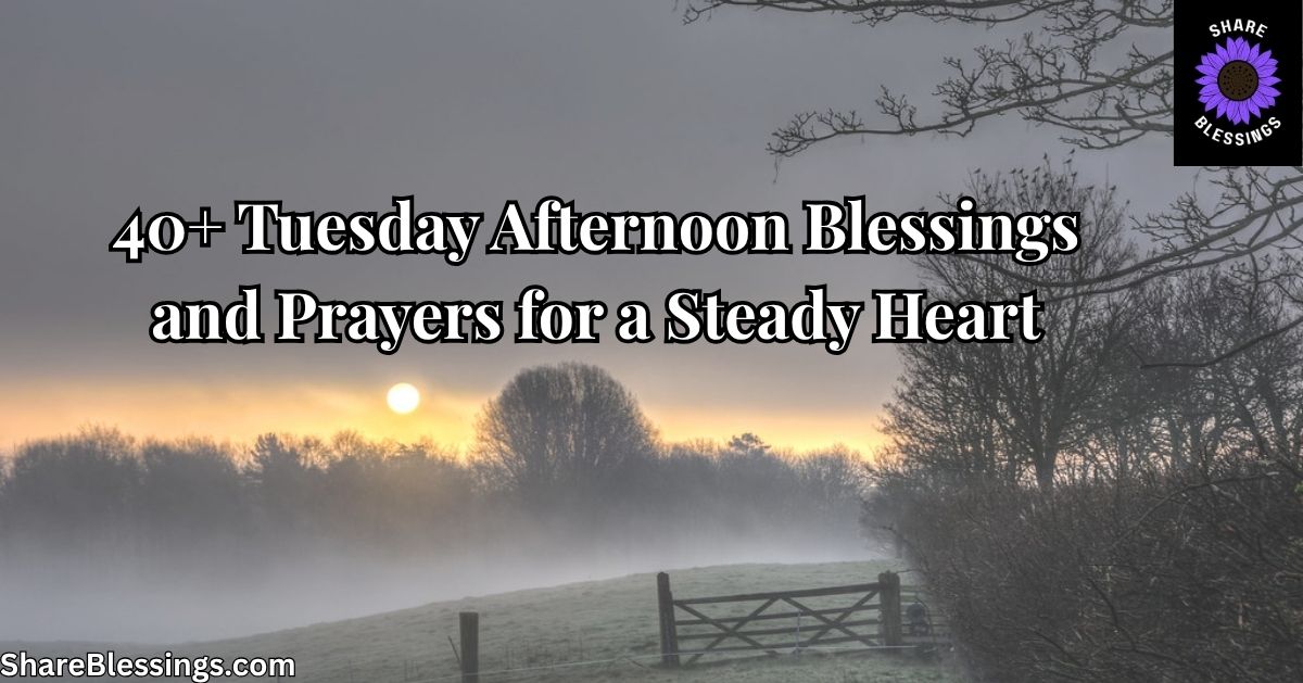 40+ Tuesday Afternoon Blessings and Prayers for a Steady Heart — foggy field with bare trees at dusk