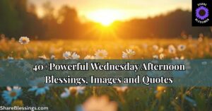 40+ Powerful Wednesday Afternoon Blessings, Images and Quotes — daisy field at golden sunset