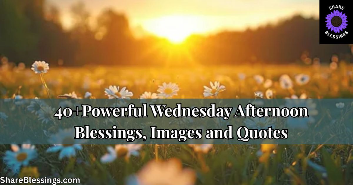 40+ Powerful Wednesday Afternoon Blessings, Images and Quotes — daisy field at golden sunset