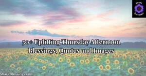 50+ Uplifting Thursday Afternoon Blessings, Quotes and Images — sunflower field at pastel sunset